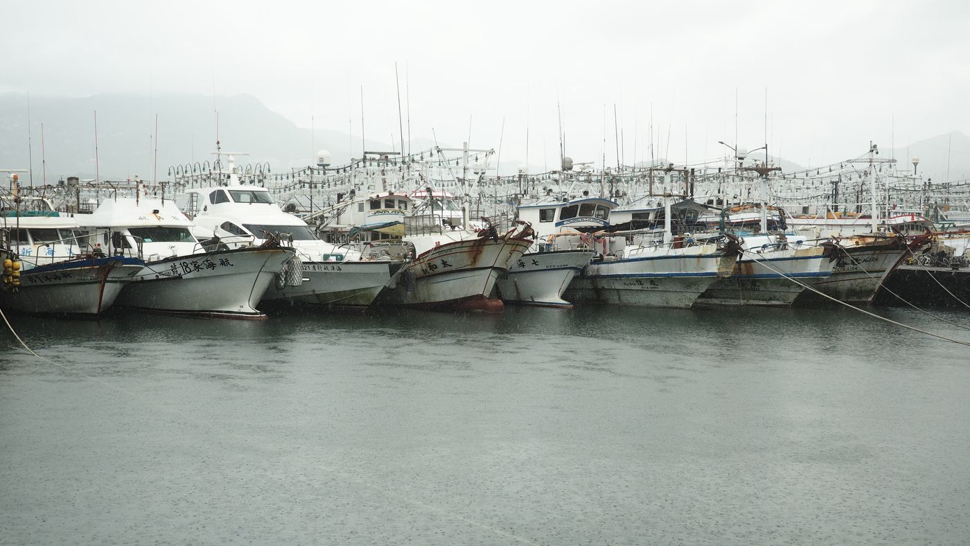 The day boats, in off Gulfport